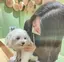 あさまるのプロフィール画像