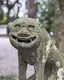 きよのプロフィール画像