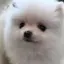 ゆ。のプロフィール画像