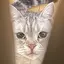 ちゃなげまるのプロフィール画像