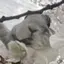 ぺちのプロフィール画像