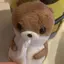 kaiのプロフィール画像