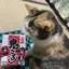 さくらのプロフィール画像