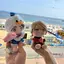 たろのプロフィール画像
