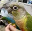 Mのプロフィール画像
