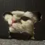 花糸のプロフィール画像