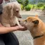 由香のプロフィール画像