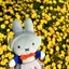 MOKAのプロフィール画像