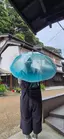 イルカのプロフィール画像