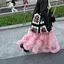 聖のプロフィール画像