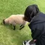 もものプロフィール画像