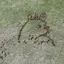 Kのプロフィール画像