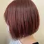 ハスキーのプロフィール画像