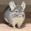 ひなのプロフィール画像