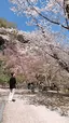いとこのプロフィール画像