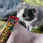 ウメムラのプロフィール画像