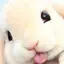 ゆのプロフィール画像
