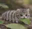 うゆゆのプロフィール画像
