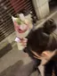 たかはしのプロフィール画像