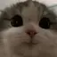 はのプロフィール画像