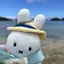 ミサキのプロフィール画像