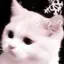 ここのプロフィール画像
