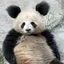 ウラのプロフィール画像