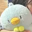 真緒のプロフィール画像