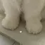 まきのプロフィール画像