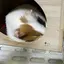 凱斗のプロフィール画像