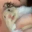 あむ🐟のプロフィール画像