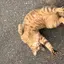 muのプロフィール画像