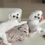 ゆうきのプロフィール画像