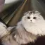 kemushiのプロフィール画像
