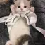 らららのプロフィール画像