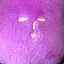 虹のプロフィール画像
