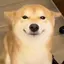 ひのプロフィール画像