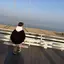 響のプロフィール画像
