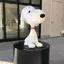 ふうかめのプロフィール画像