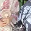 壬のプロフィール画像