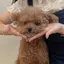 萌のプロフィール画像