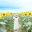 こっちゃんのプロフィール画像