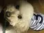 yossyのプロフィール画像
