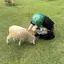 れ　なのプロフィール画像