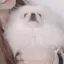 ぽんのプロフィール画像