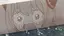 めぐちゃんのプロフィール画像