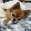 まさみのプロフィール画像