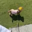 minamiのプロフィール画像