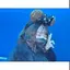 ミユウのプロフィール画像