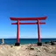 ゆっぴぃーのプロフィール画像